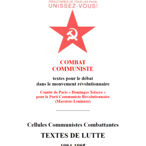 خرید و دانلود نسخه کامل کتاب Textes de Lutte 1984-1985