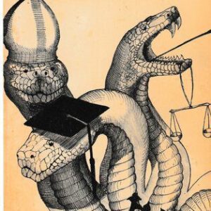 خرید و دانلود نسخه کامل کتاب The Albigen Papers