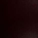 خرید و دانلود نسخه کامل کتاب The Bible of Every Land: A History of the Sacred Scriptures in Eyery Language and Dialect into which Translations have been Made