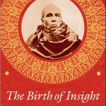 خرید و دانلود نسخه کامل کتاب The Birth of Insight: Meditation, Modern Buddhism, and the Burmese Monk Ledi Sayadaw (Buddhism and Modernity)