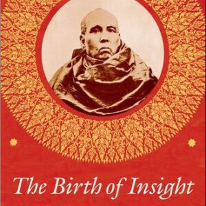 خرید و دانلود نسخه کامل کتاب The Birth of Insight: Meditation, Modern Buddhism, and the Burmese Monk Ledi Sayadaw (Buddhism and Modernity)