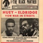 خرید و دانلود نسخه کامل کتاب The Black Panther newspaper
