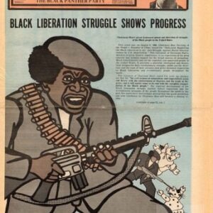 خرید و دانلود نسخه کامل کتاب The Black Panther newspaper