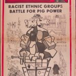 خرید و دانلود نسخه کامل کتاب The Black Panther newspaper
