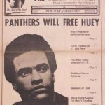 خرید و دانلود نسخه کامل کتاب The Black Panther newspaper