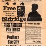 خرید و دانلود نسخه کامل کتاب The Black Panther newspaper