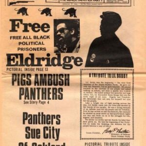 خرید و دانلود نسخه کامل کتاب The Black Panther newspaper