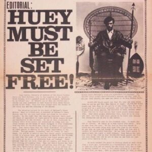 خرید و دانلود نسخه کامل کتاب The Black Panther newspaper