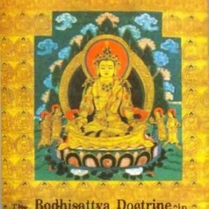 خرید و دانلود نسخه کامل کتاب The Bodhisattva doctrine in Buddhist Sanskrit literature