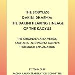 خرید و دانلود نسخه کامل کتاب The Bodyless Dakini Dharma: The Dakini Hearing Lineage of the Kagyus