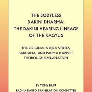 خرید و دانلود نسخه کامل کتاب The Bodyless Dakini Dharma: The Dakini Hearing Lineage of the Kagyus