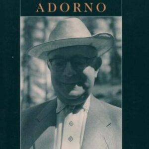خرید و دانلود نسخه کامل کتاب The Cambridge Companion to Adorno