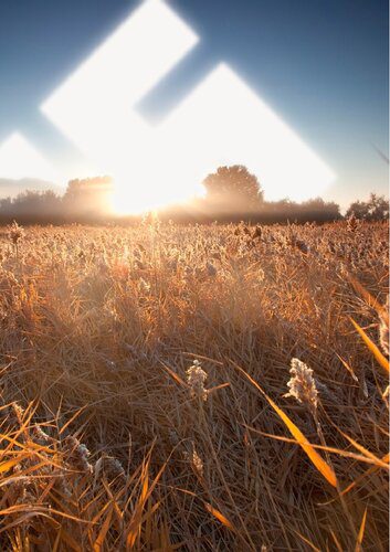 خرید و دانلود نسخه کامل کتاب The Death Of Fragility_68e6ce5c06cc2.jpeg خرید و دانلود نسخه کامل کتاب The Death Of Fragility