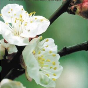 خرید و دانلود نسخه کامل کتاب The Denkōroku, or, The record of the transmission of the light