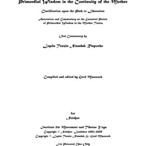 خرید و دانلود نسخه کامل کتاب The Essential Points of the Primordial Wisdom in the Continuity of the Mother (ma rgyud ye shes thig le)