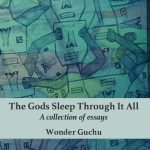خرید و دانلود نسخه کامل کتاب The Gods Sleep Through It All: A Collection of Essays