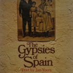 خرید و دانلود نسخه کامل کتاب The Gypsies of Spain