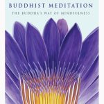 خرید و دانلود نسخه کامل کتاب The Heart of Buddhist Meditation: The Buddha’s Way of Mindfulness