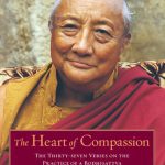 خرید و دانلود نسخه کامل کتاب The Heart of Compassion: The Thirty-seven Verses on the Practice of a Bodhisattva