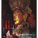 خرید و دانلود نسخه کامل کتاب The Jewelled Staircase