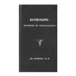 خرید و دانلود نسخه کامل کتاب The Kundalini Experience