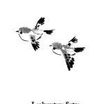 خرید و دانلود نسخه کامل کتاب The Lankavatara Sutra