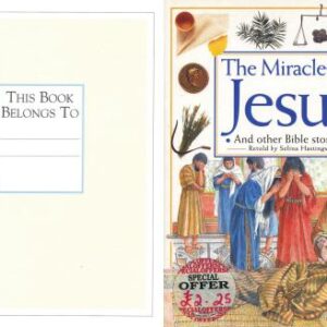 خرید و دانلود نسخه کامل کتاب The Miracles of Jesus. And other Bible stories