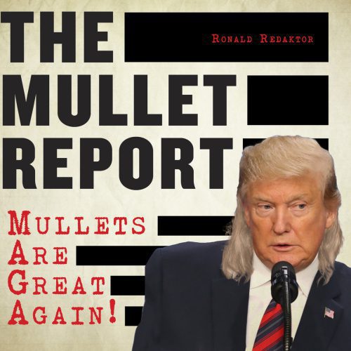 خرید و دانلود نسخه کامل کتاب The Mullet Report: Mullets Are Great Again!_68e8e410d892f.jpeg خرید و دانلود نسخه کامل کتاب The Mullet Report: Mullets Are Great Again!