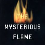خرید و دانلود نسخه کامل کتاب The Mysterious Flame: Conscious Minds In A Material World