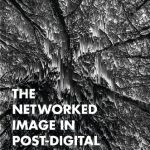 خرید و دانلود نسخه کامل کتاب The Networked Image in Post-Digital Culture