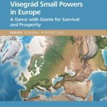 خرید و دانلود نسخه کامل کتاب The Nordic, Baltic and Visegrád Small Powers in Europe: A Dance With Giants for Survival and Prosperity