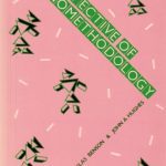 خرید و دانلود نسخه کامل کتاب The Perspective of Ethnomethodology