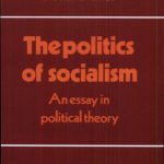 خرید و دانلود نسخه کامل کتاب The Politics of Socialism: An Essay in Political Theory (Themes in the Social Sciences)
