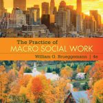 خرید و دانلود نسخه کامل کتاب The Practice of Macro Social Work