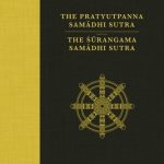 خرید و دانلود نسخه کامل کتاب The Pratyutpanna Sutra and The Surangama Samadhi Sutra