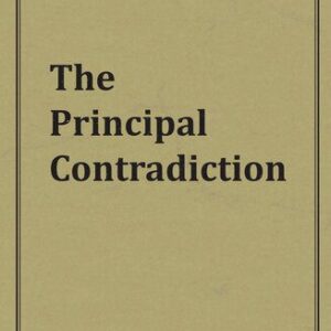 خرید و دانلود نسخه کامل کتاب The Principal Contradiction