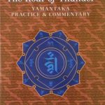خرید و دانلود نسخه کامل کتاب The Roar of Thunder: Yamantaka Practice and Commentary