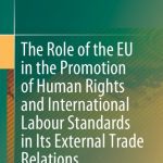 خرید و دانلود نسخه کامل کتاب The Role of the EU in the Promotion of Human Rights and International Labour Standards in Its External Trade Relations