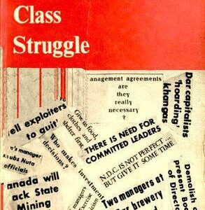 خرید و دانلود نسخه کامل کتاب The Silent Class Struggle
