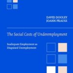 خرید و دانلود نسخه کامل کتاب The Social Costs of Underemployment: Inadequate Employment as Disguised Unemployment