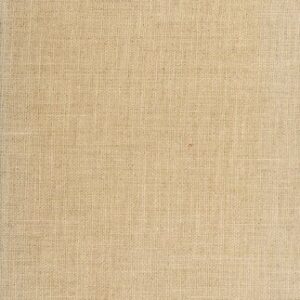 خرید و دانلود نسخه کامل کتاب The South in American Literature, 1607-1900
