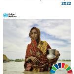 خرید و دانلود نسخه کامل کتاب The Sustainable Development Goals Report 2022