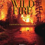 خرید و دانلود نسخه کامل کتاب The Wildfire Reader: A Century of Failed Forest Policy