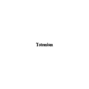 خرید و دانلود نسخه کامل کتاب Totemism
