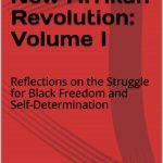 خرید و دانلود نسخه کامل کتاب Toward A New Afrikan Revolution: Volume I. Reflections on the Struggle for Black Freedom and Self-Determination