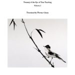 خرید و دانلود نسخه کامل کتاب Treasury of the Eye of True Teaching: Volume I