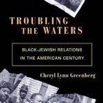 خرید و دانلود نسخه کامل کتاب Troubling the Waters: Black-Jewish Relations in the American Century (Politics and Society in Twentieth Century America)