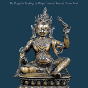 خرید و دانلود نسخه کامل کتاب Visionary Encounters: The Dzogchen Teachings of Bönpo Treasure-Revealer Shense Lhaje