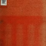 خرید و دانلود نسخه کامل کتاب Vita di Giordano Bruno con documenti editi e inediti (2 voll.) vol. 2