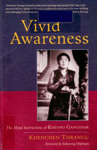 خرید و دانلود نسخه کامل کتاب Vivid Awareness: The Mind Instructions of Khenpo Gangshar_68e13a880a364.jpeg خرید و دانلود نسخه کامل کتاب Vivid Awareness: The Mind Instructions of Khenpo Gangshar